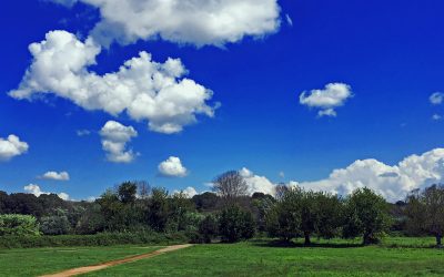 Come dare colore e vivacità alle tue foto con Photoshop