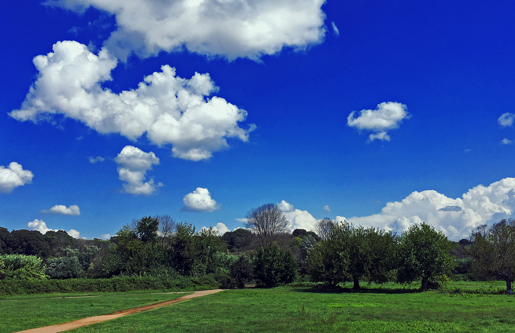 colore vivacità photoshop